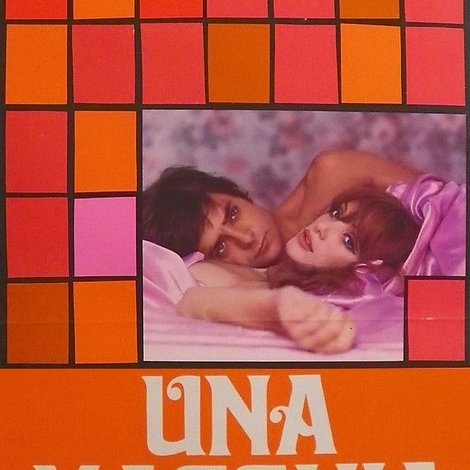 Una macchia rosa