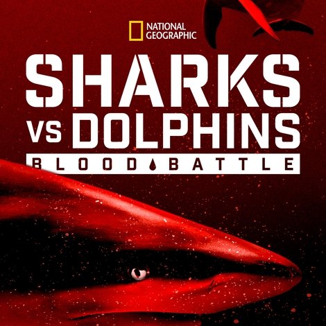 Sharks vs. Dolphins: Blood Battle