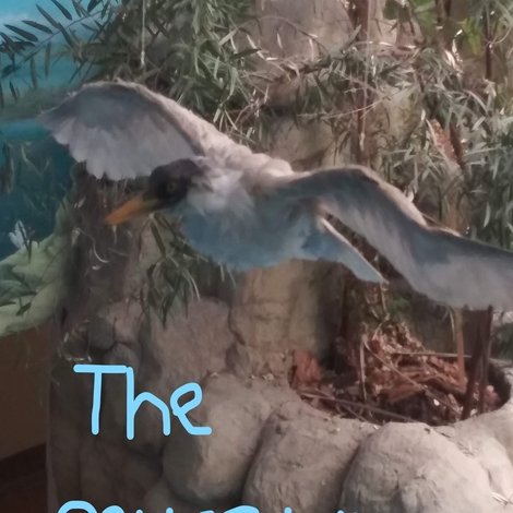 The Museum