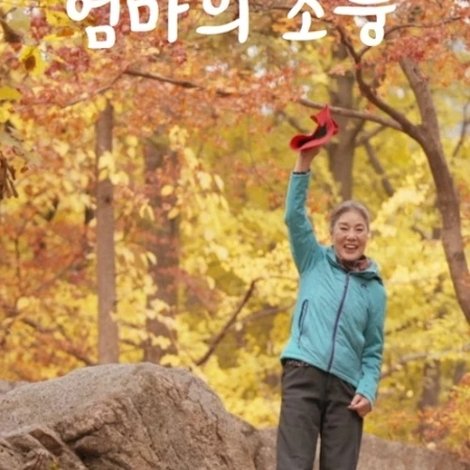 엄마의 소풍