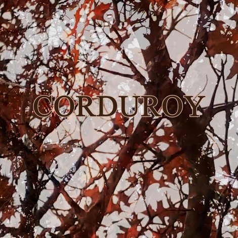Corduroy