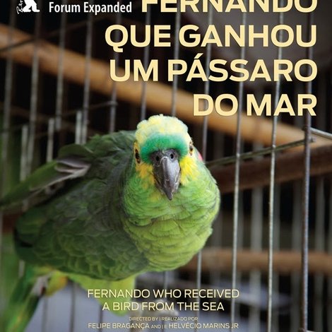 Fernando que Ganhou um Pássaro do Mar