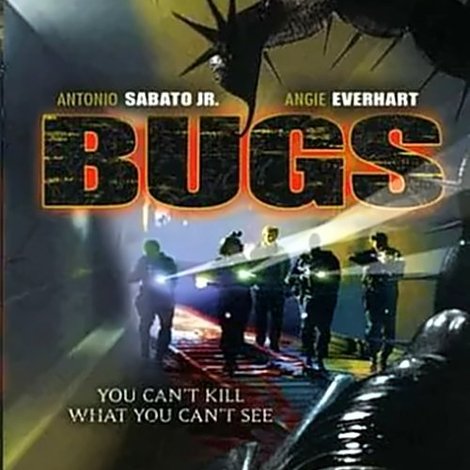 Bugs