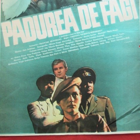 Pădurea de fagi