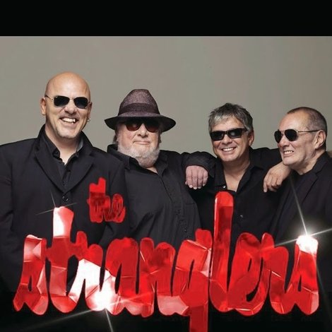 The Stranglers à l'Olympia