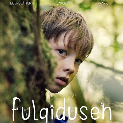 Fulgidusen