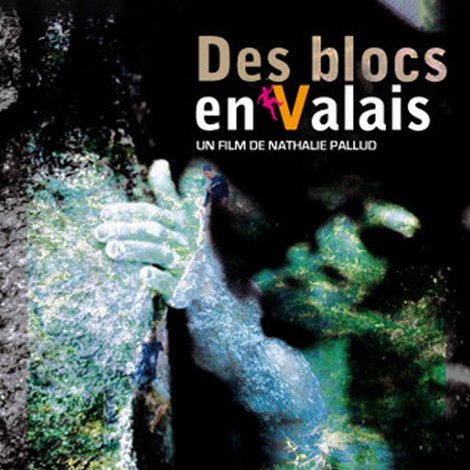 Des Blocs En Valais