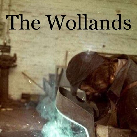 Die Wollands