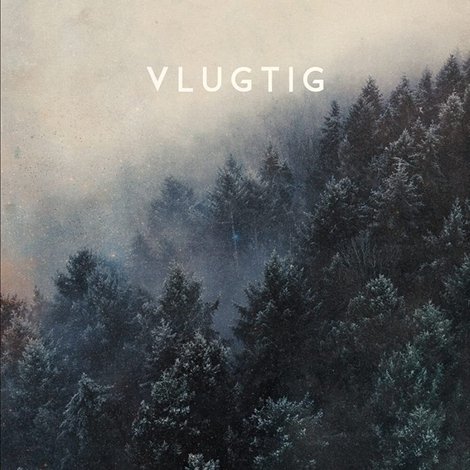 Vlugtig