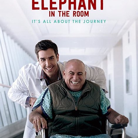 The Elephant In The Room
