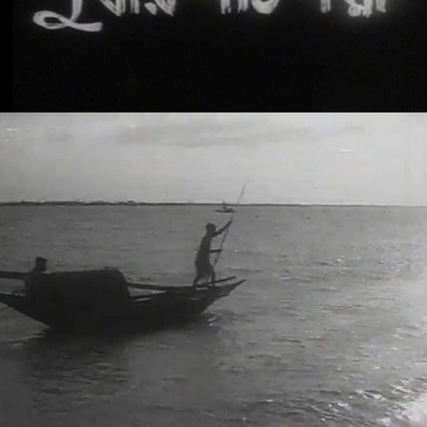 দুর্বার গতি পদ্মা