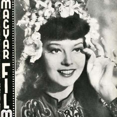 Sziámi macska