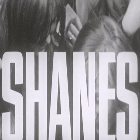 Shanes