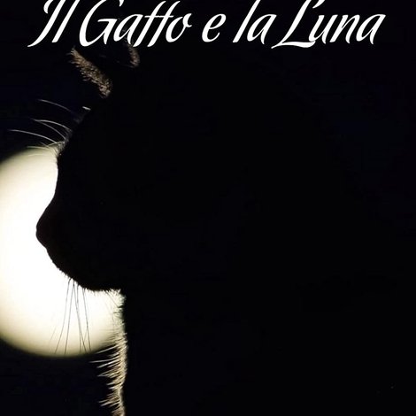 Il gatto e la luna