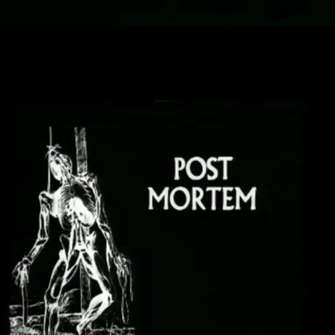 Post Mortem