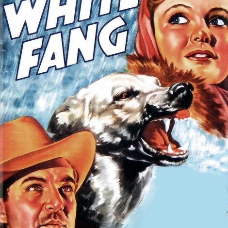 White Fang
