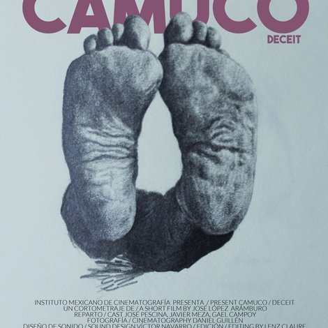 Camuco
