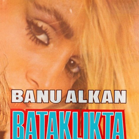 Bataklıkta Bir Gül