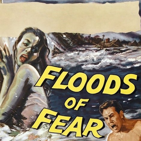 Floods of Fear