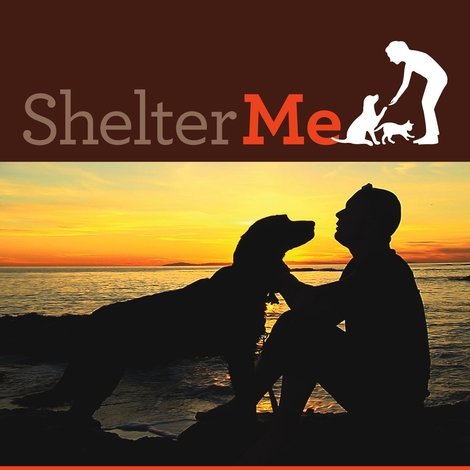 Shelter Me