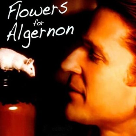 Flowers for Algernon
