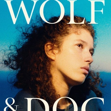 Lobo e Cão