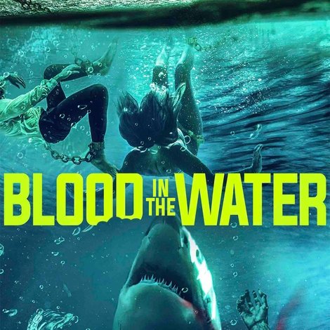 Blood in the Water