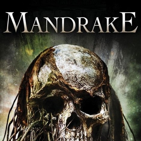 Mandrake