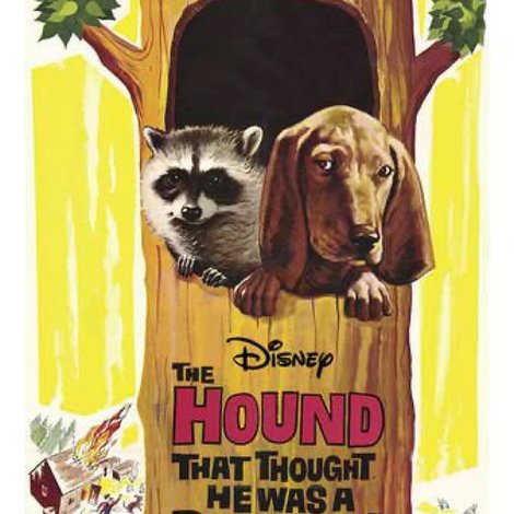 The Hound That Thought He Was a Raccoon