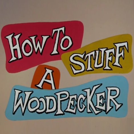 How to Stuff a Woodpecker