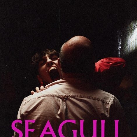 Seagull