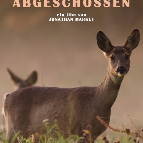 Abgeschossen
