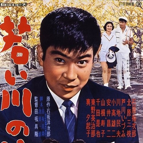若い川の流れ