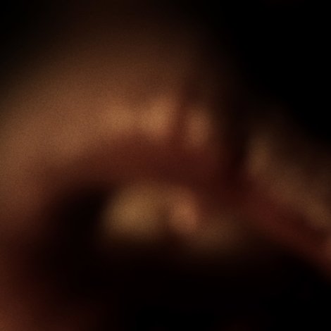 Somniloquies