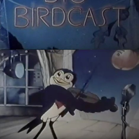 The Big Birdcast