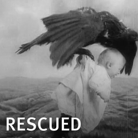 Rescued from an Eagle's Nest