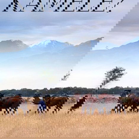 Un remède de chameau - La révolution des nanocorps
