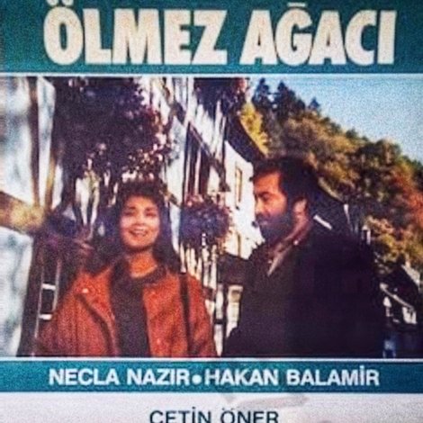 Ölmez Ağacı