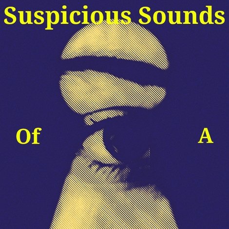 Suspicious Sounds of a Reclusive Housemate