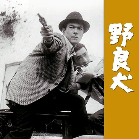 野良犬