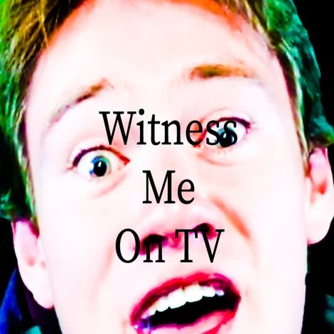 The Witness TV Cut