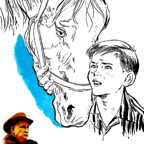The Sad Horse
