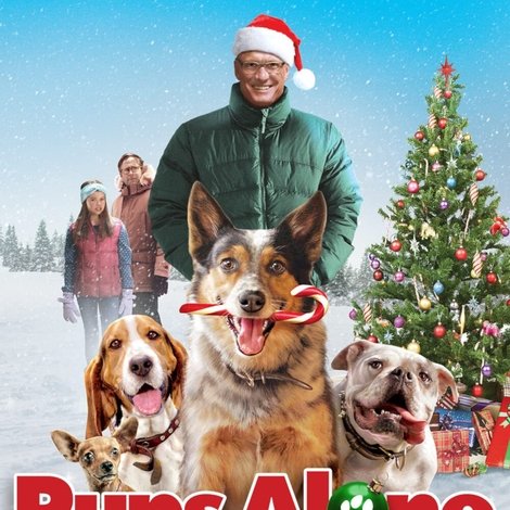 Pups Alone