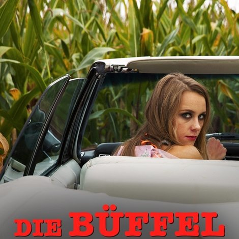 Die Büffel sind los!
