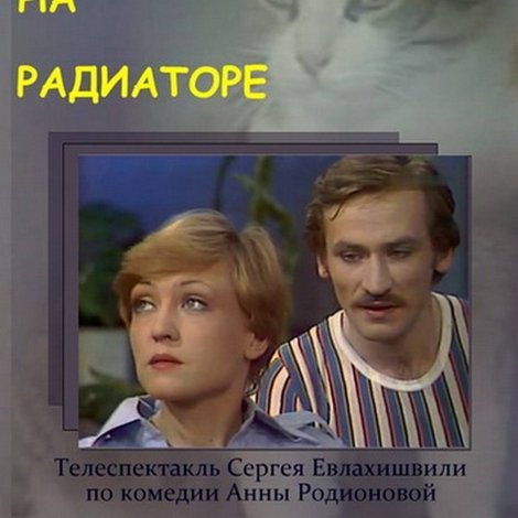 Кошка на радиаторе