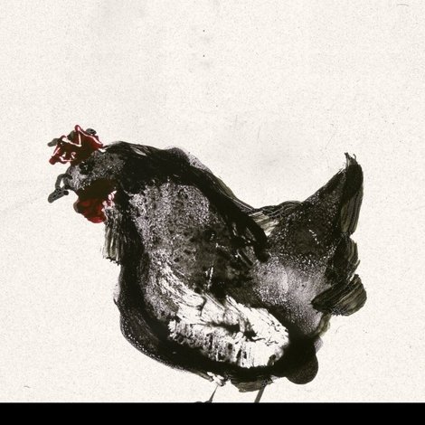 The Chicken