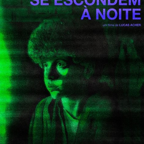 Onde os Insetos se Escondem à Noite