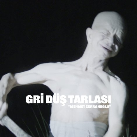 Gri Düş Tarlası