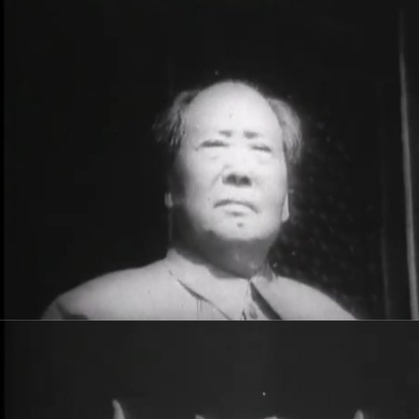 毛沢東--その生涯と文化大革命--