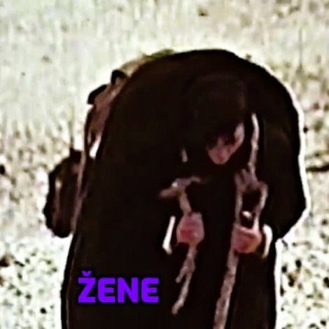 Žene